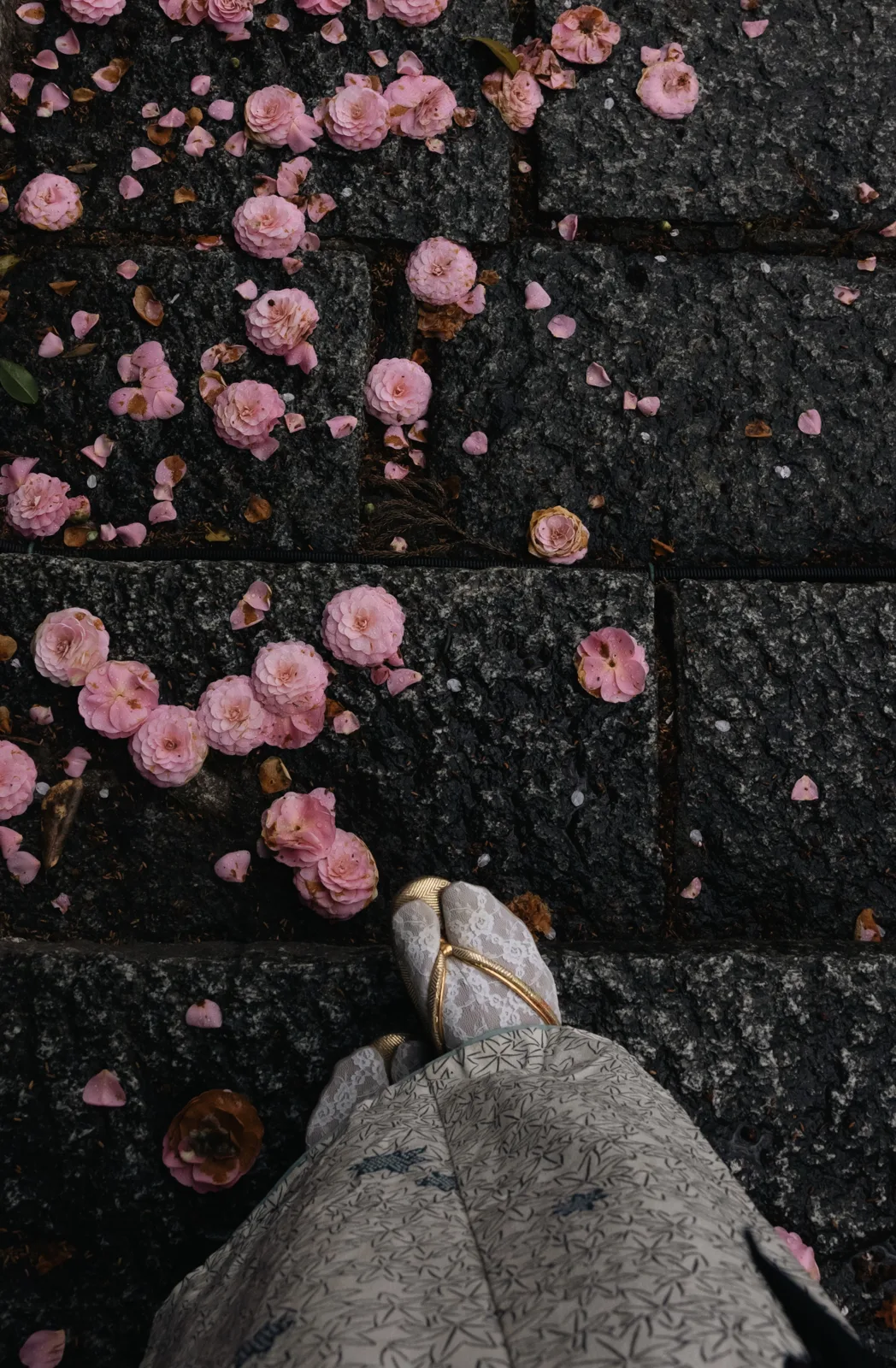 石畳に散ったピンクの花びらと着物の足元